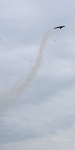  Delfin let pokracuje 